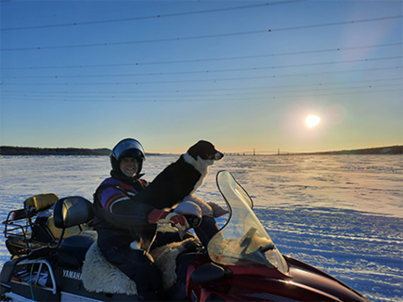 Border collie faisant du ski-doo sur l