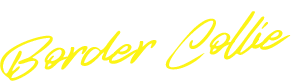 Logo Élevage Border Collie, île d'Orléans, Québec.